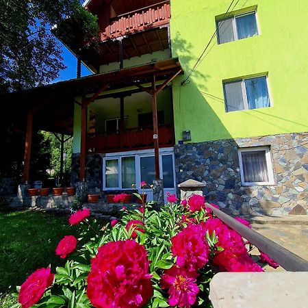 Vila Giulia Войняса Екстериор снимка