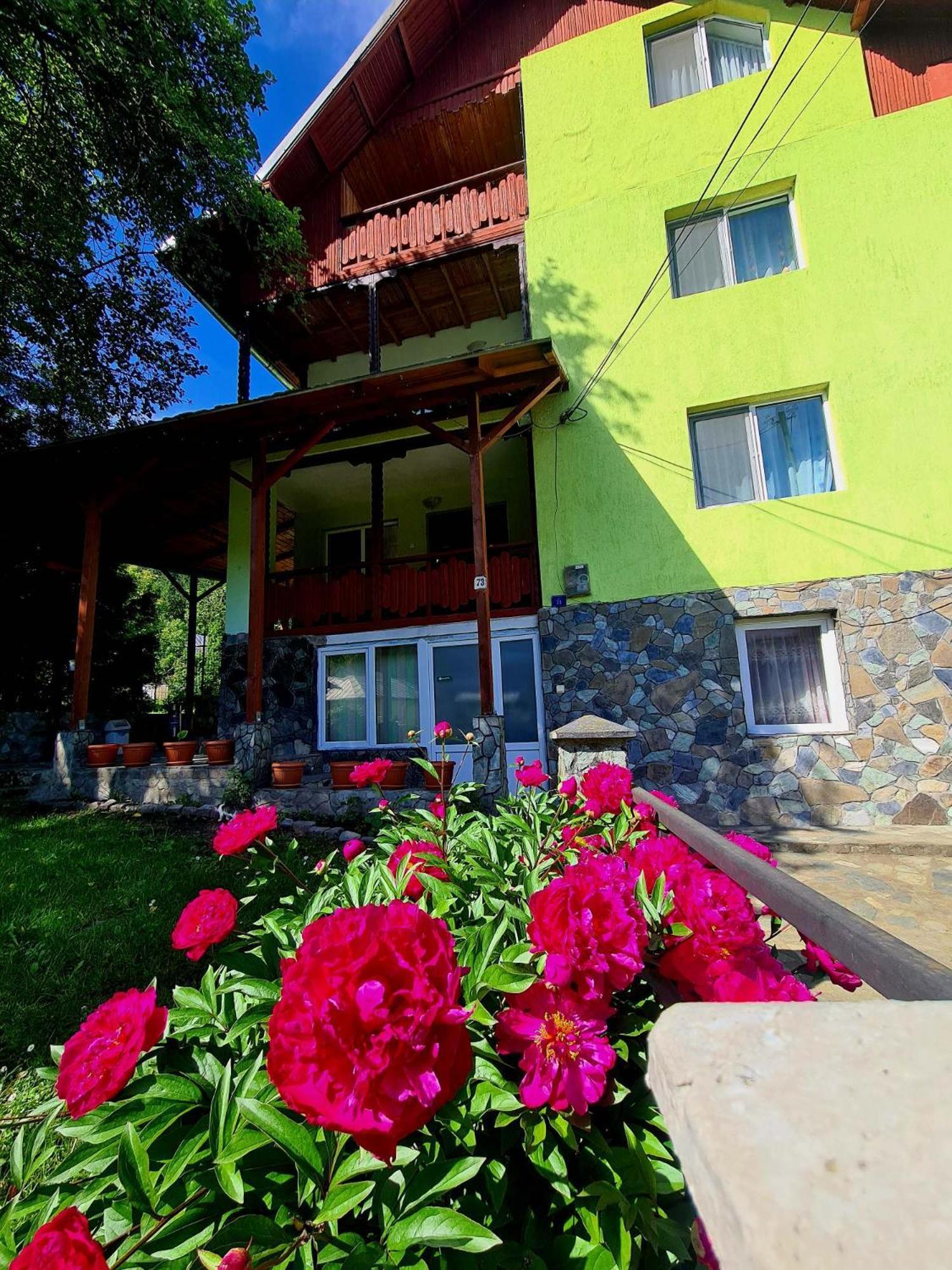 Vila Giulia Войняса Екстериор снимка