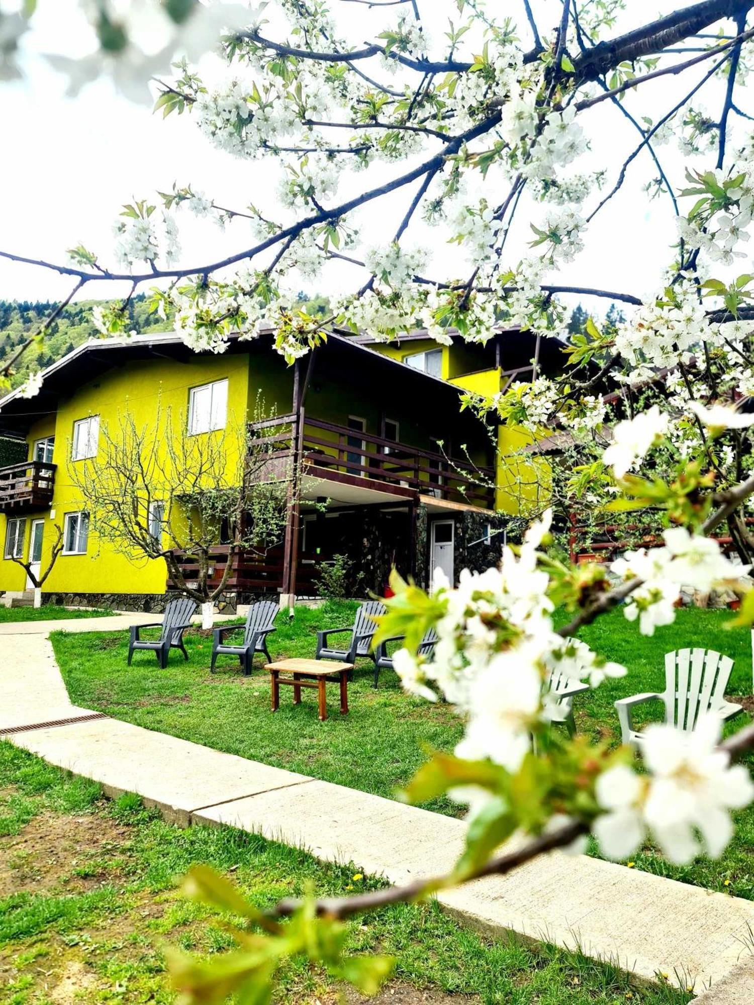 Vila Giulia Войняса Екстериор снимка